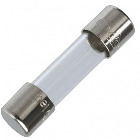 Fusível Pequeno 5x20mm 10A - Cewp